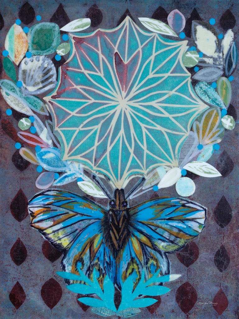 Midnight Moth by Candra Boggs