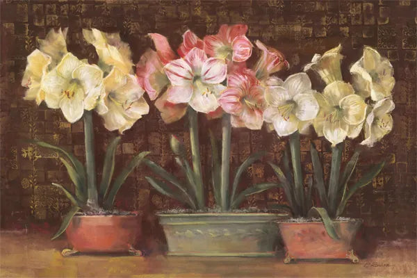 Amaryllis on Brown by Carol Rowan. SKU 7856i. Archival Giclee Fine art print for wall decor.