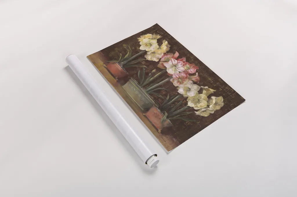 Amaryllis on Brown by Carol Rowan. shown as a rolled paper print. Available as archival giclee rolled canvas, fine art paper, or poster print. SKU 7856i.