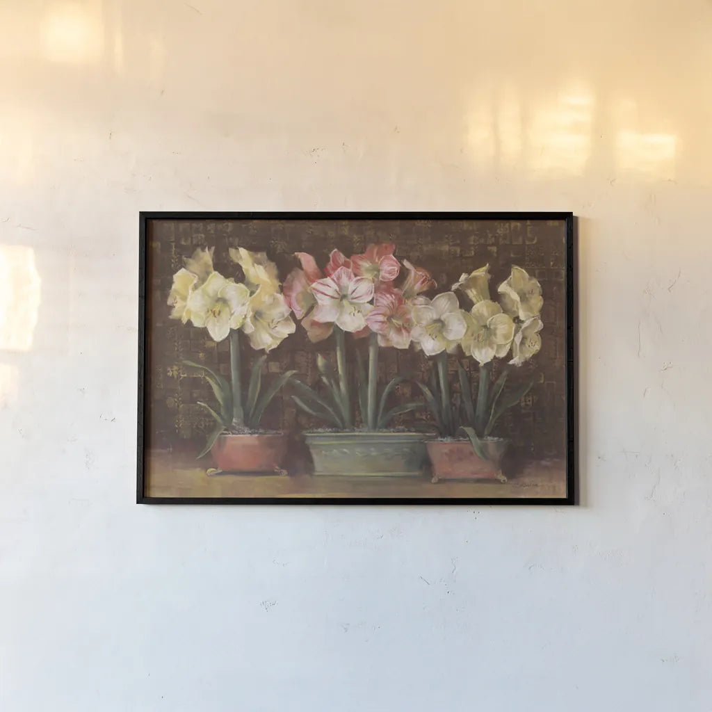 Amaryllis on Brown by Carol Rowan. shown as a paper print in a black flame. Available as a archival giclee rolled canvas, fine art paper, or poster print. SKU 7856i.