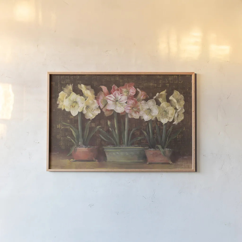 Amaryllis on Brown by Carol Rowan. shown as a paper print in a natural frame. Available as a archival giclee rolled canvas, fine art paper, or poster print. SKU 7856i.