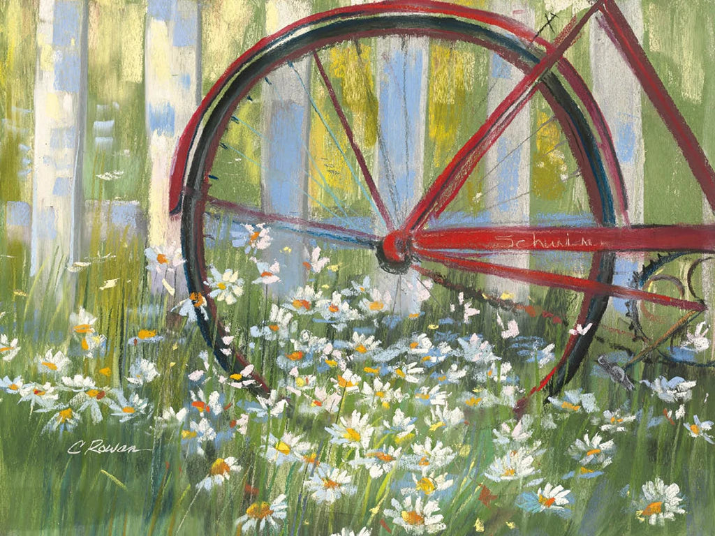 Bicycle By The Fence by Carol Rowan