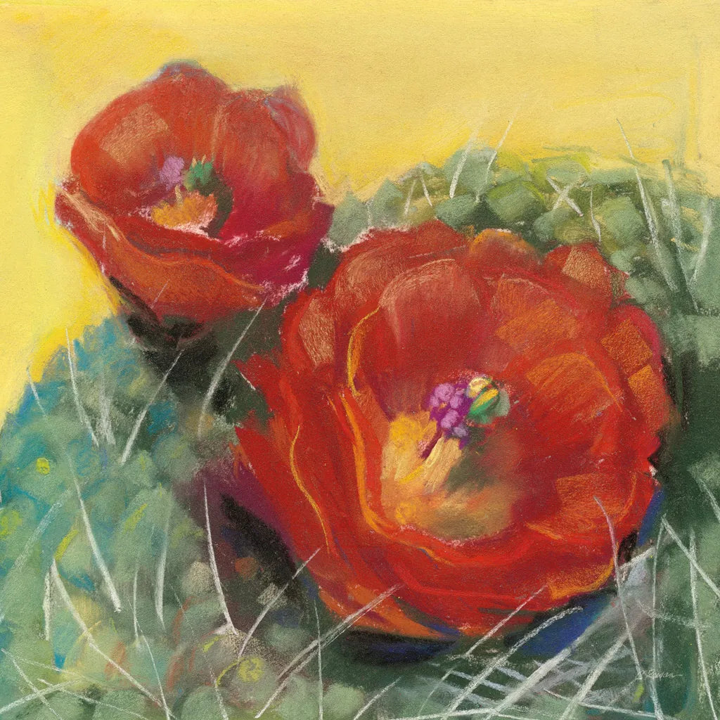 Blooming Succulent I by Carol Rowan. SKU 38631a. Archival Giclee Fine art print for wall decor.