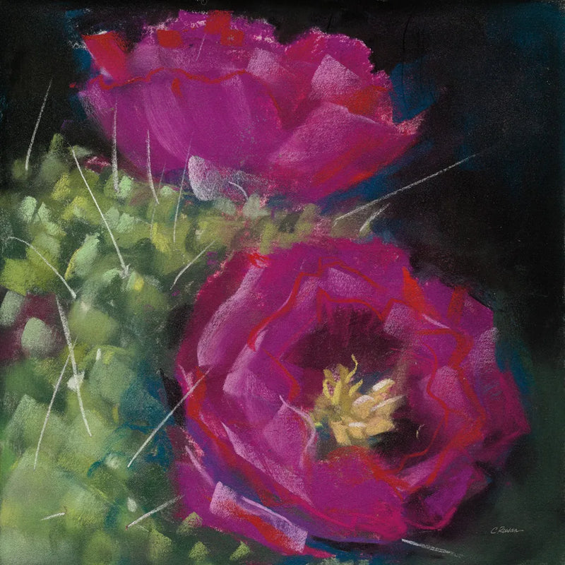 Blooming Succulent III by Carol Rowan. SKU 38633a. Archival Giclee Fine art print for wall decor.
