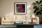 Blooming Succulent III by Carol Rowan. Displayed in a glass frame with matte in a clean modern living room. Available as an archival giclee rolled canvas, fine art paper, or poster print. SKU 38633a.