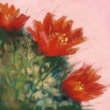 Blooming Succulent IV by Carol Rowan. SKU 38634a. Archival Giclee Fine art print for wall decor.