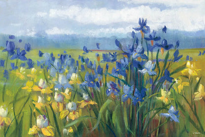 Blue and Yellow Flower Field by Carol Rowan. SKU 30167i. Archival Giclee Fine art print for wall decor.