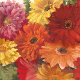 Bountiful Gerberas Square I by Carol Rowan. SKU 26991a. Archival Giclee Fine art print for wall decor.