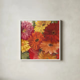 Bountiful Gerberas Square I by Carol Rowan. Shown in a crisp white glass frame for a clean and minimalist style. Available as an archival giclee rolled canvas, fine art paper, or poster print. SKU 26991a.