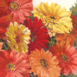 Bountiful Gerberas Square II by Carol Rowan. SKU 26992a. Archival Giclee Fine art print for wall decor.