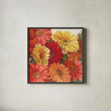 Bountiful Gerberas Square II by Carol Rowan. Shown in a sleek black glass frame for a contemporary gallery look. Available as an archival giclee rolled canvas, fine art paper, or poster print. SKU 26992a.