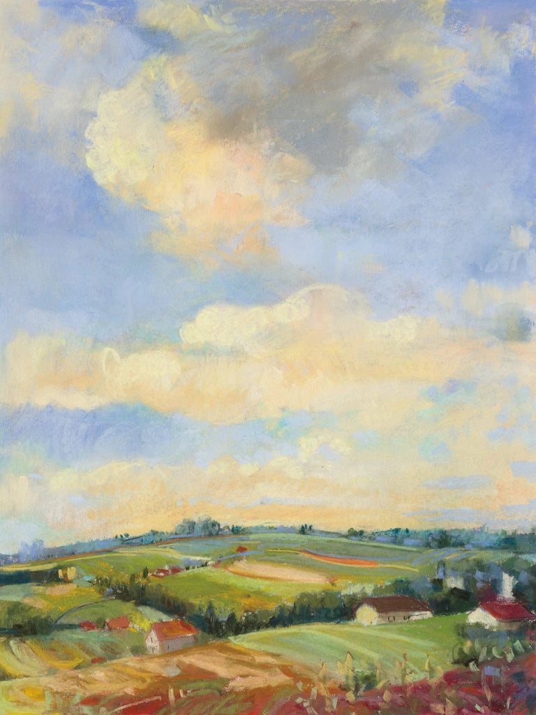 Farm Fields by Carol Rowan