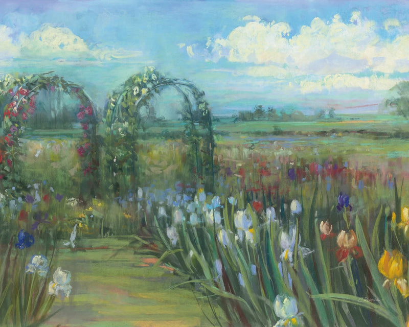 Field of Colorful Tulips Crop by Carol Rowan