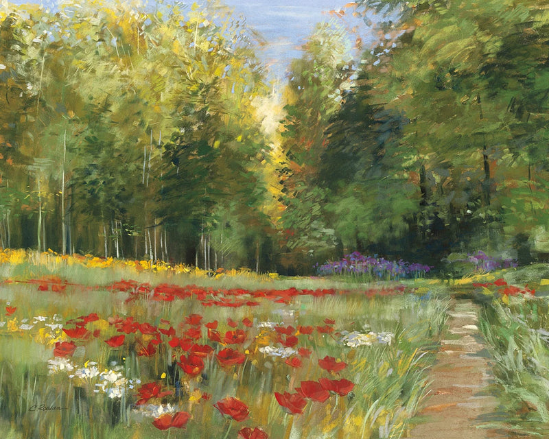 Field of Flowers Crop by Carol Rowan