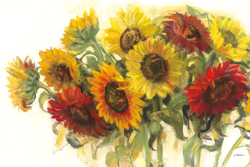 Gathering Sunflowers on White by Carol Rowan. SKU 31391i. Archival Giclee Fine art print for wall decor.