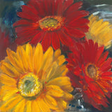 Gerbera Glow II by Carol Rowan. SKU 41936a. Archival Giclee Fine art print for wall decor.