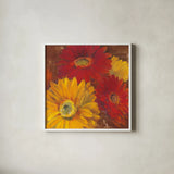 Gerbera Glow II Spice by Carol Rowan. Shown in a crisp white glass frame for a clean and minimalist style. Available as an archival giclee rolled canvas, fine art paper, or poster print. SKU 41937a.