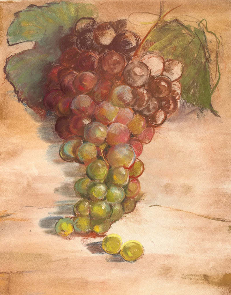 Grape Harvest II No Label by Carol Rowan