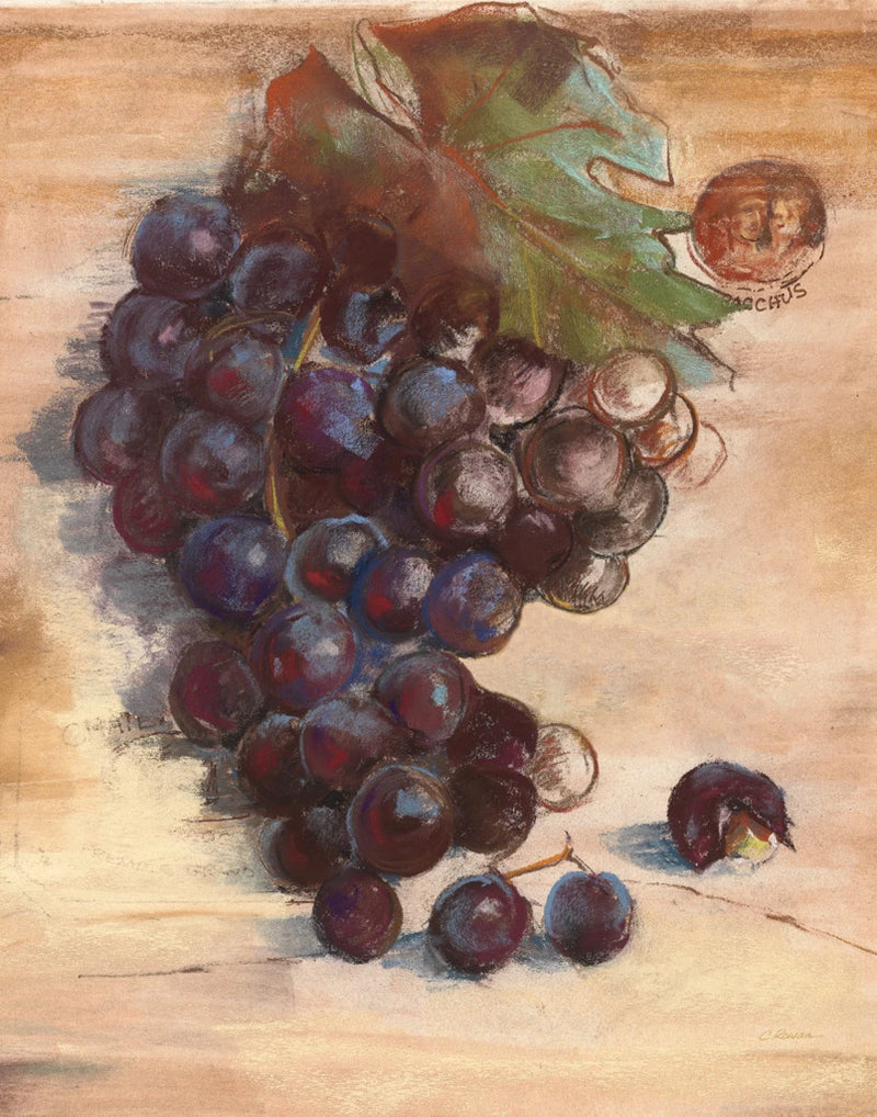 Grape Harvest III No Label by Carol Rowan