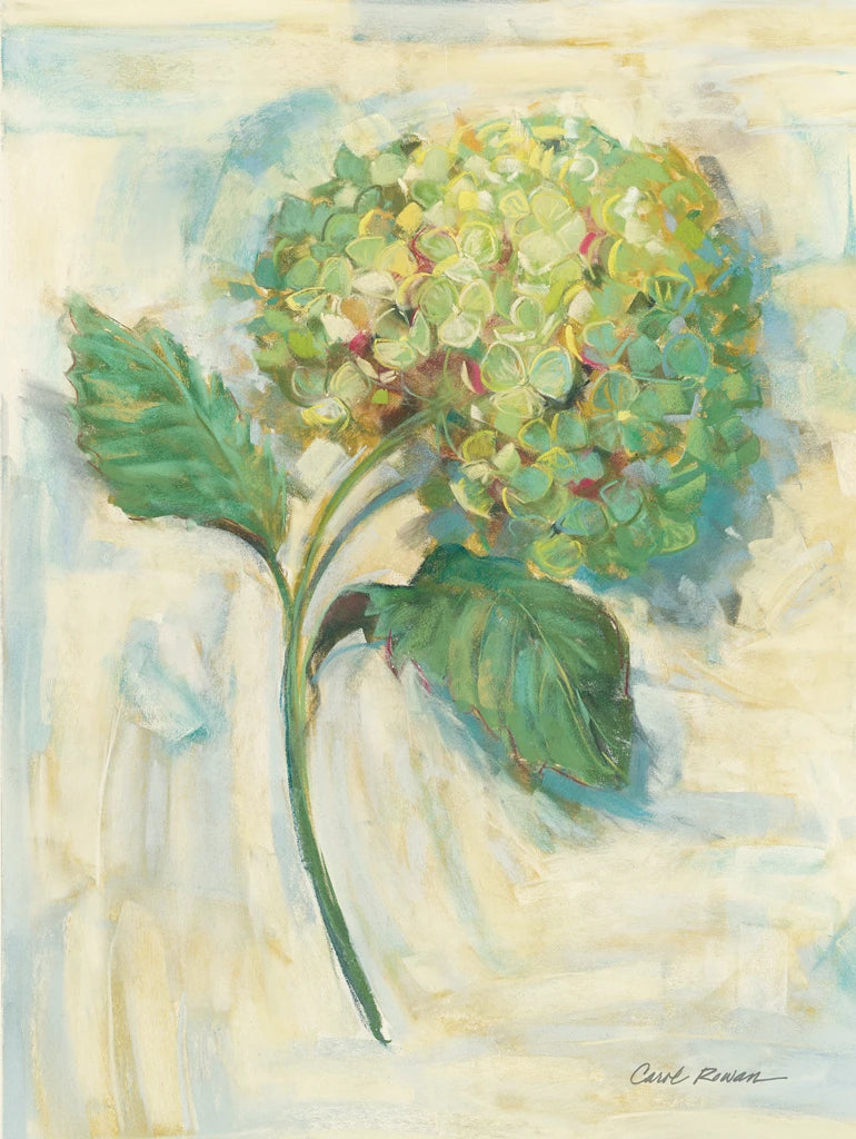 Green Hydrangea by Carol Rowan