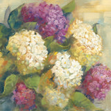 Hydrangea Delight II by Carol Rowan. SKU 2415a. Archival Giclee Fine art print for wall decor.