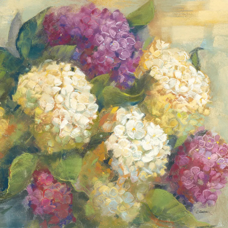 Hydrangea Delight II by Carol Rowan. SKU 2415a. Archival Giclee Fine art print for wall decor.