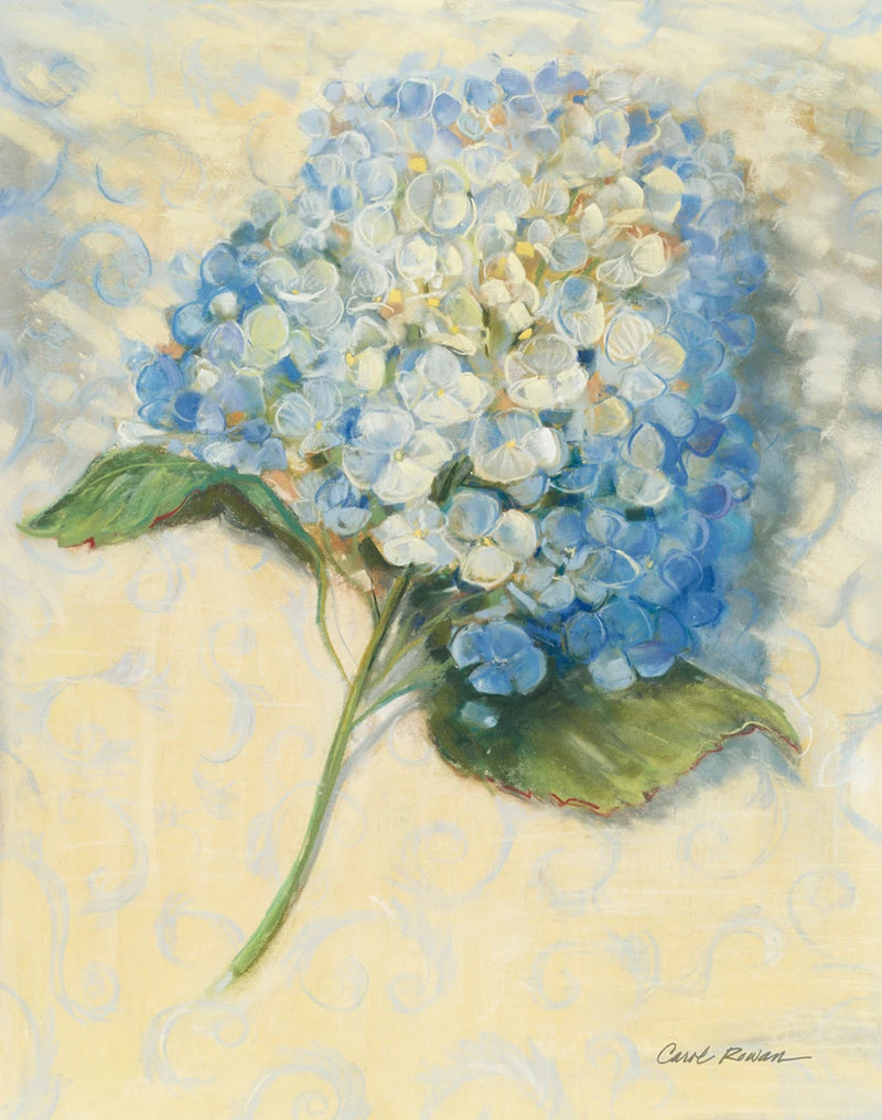 Hydrangea on Damask I by Carol Rowan