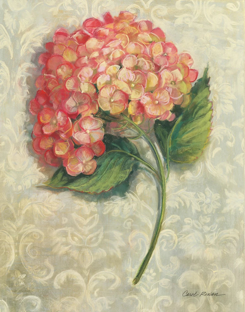 Hydrangea on Damask II by Carol Rowan
