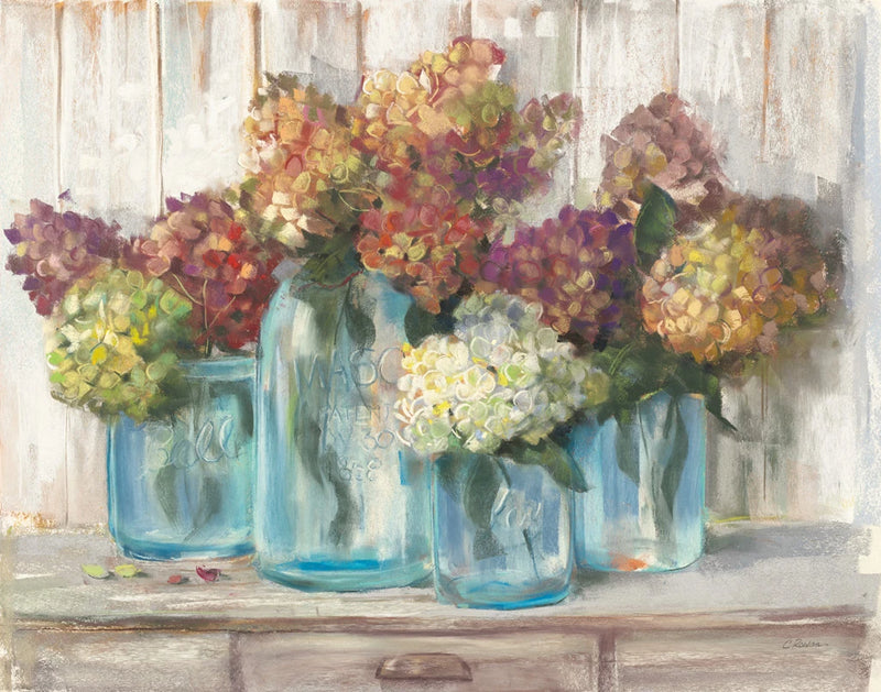 Hydrangeas in Glass Jars White Wood by Carol Rowan