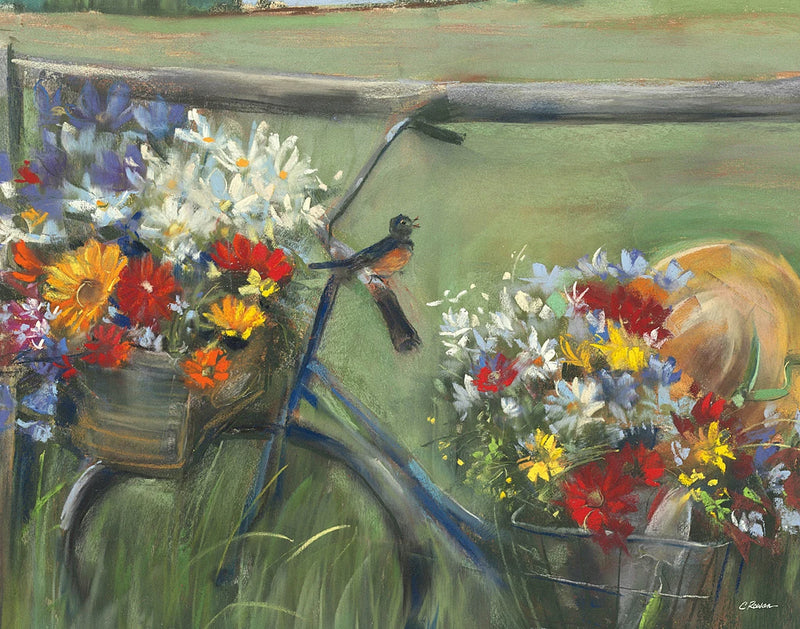 Karens Bicycle Crop by Carol Rowan