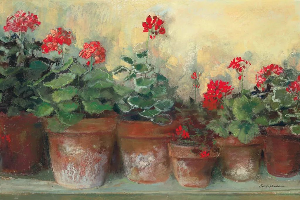 Kathleens Geraniums Crop by Carol Rowan. SKU 7933i. Archival Giclee Fine art print for wall decor.