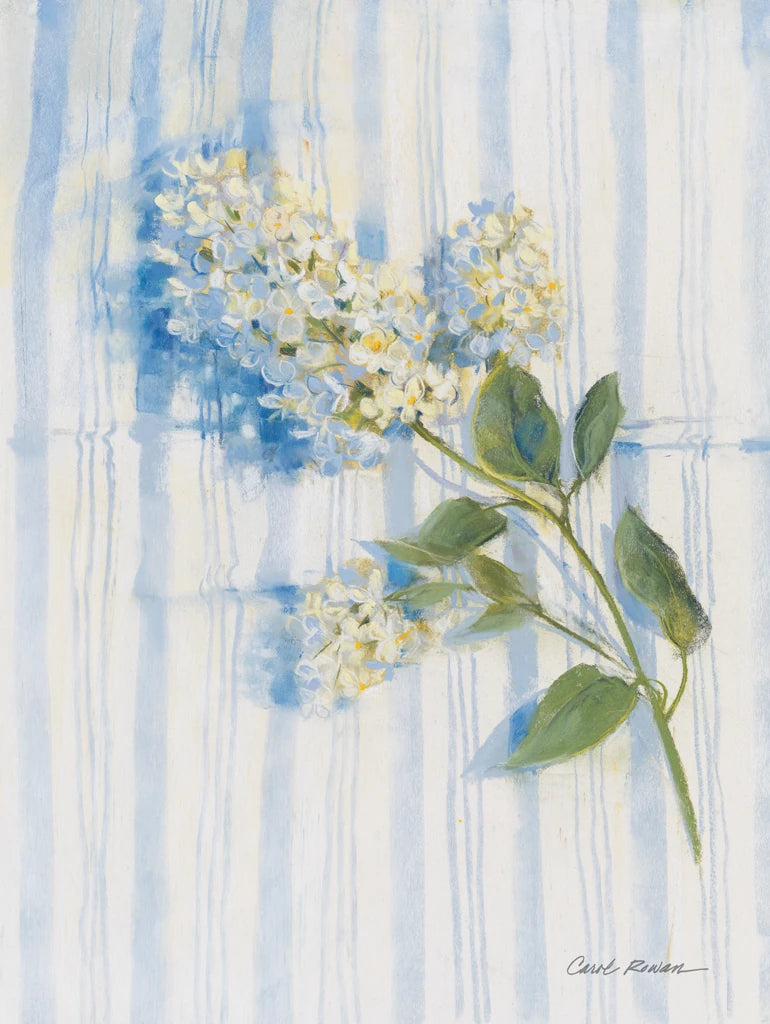 Lilac on Blue Stripe by Carol Rowan