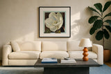 Magnolia III by Carol Rowan. Displayed in a glass frame with matte in a clean modern living room. Available as an archival giclee rolled canvas, fine art paper, or poster print. SKU 7861a.