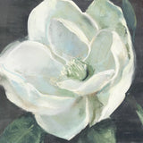 Magnolia III Sage by Carol Rowan. SKU 47396a. Archival Giclee Fine art print for wall decor.