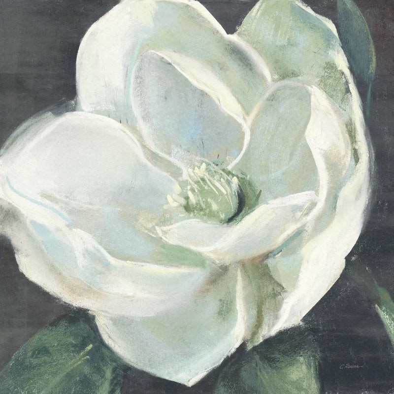Magnolia III Sage by Carol Rowan. SKU 47396a. Archival Giclee Fine art print for wall decor.