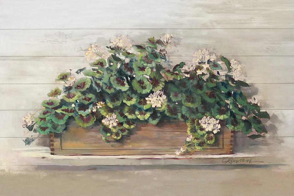 Market Geraniums Crop by Carol Rowan. SKU 35803i. Archival Giclee Fine art print for wall decor.