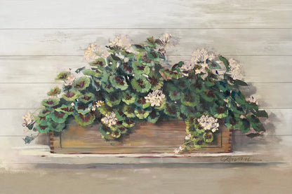 Market Geraniums Crop by Carol Rowan. SKU 35803i. Archival Giclee Fine art print for wall decor.