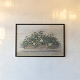 Market Geraniums Crop by Carol Rowan. shown as a paper print in a black flame. Available as a archival giclee rolled canvas, fine art paper, or poster print. SKU 35803i.