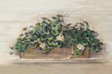 Market Geraniums Farmers Market Crop by Carol Rowan. SKU 40797i. Archival Giclee Fine art print for wall decor.