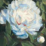 Peony I by Carol Rowan. SKU 41461a. Archival Giclee Fine art print for wall decor.