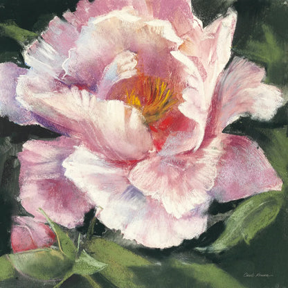 Peony II by Carol Rowan. SKU 41462a. Archival Giclee Fine art print for wall decor.