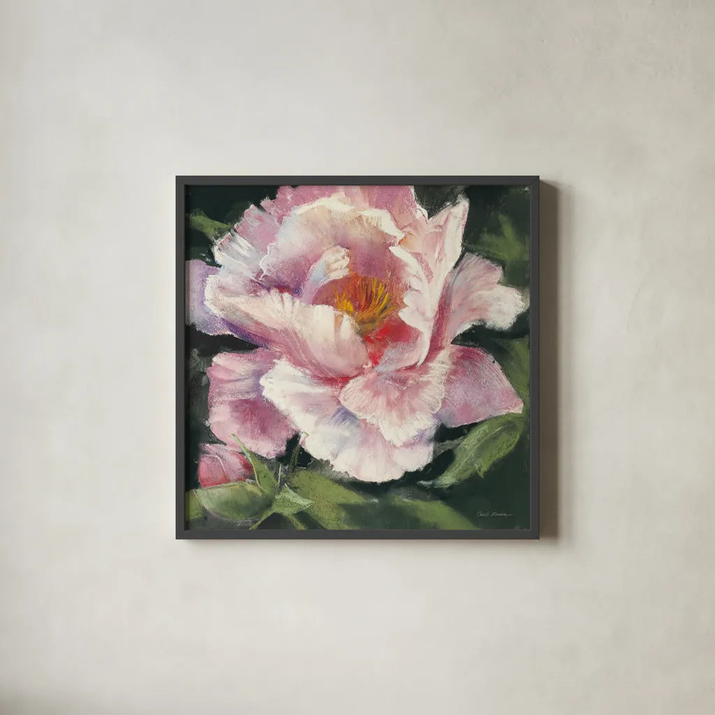 Peony II by Carol Rowan. Shown in a sleek black glass frame for a contemporary gallery look. Available as an archival giclee rolled canvas, fine art paper, or poster print. SKU 41462a.