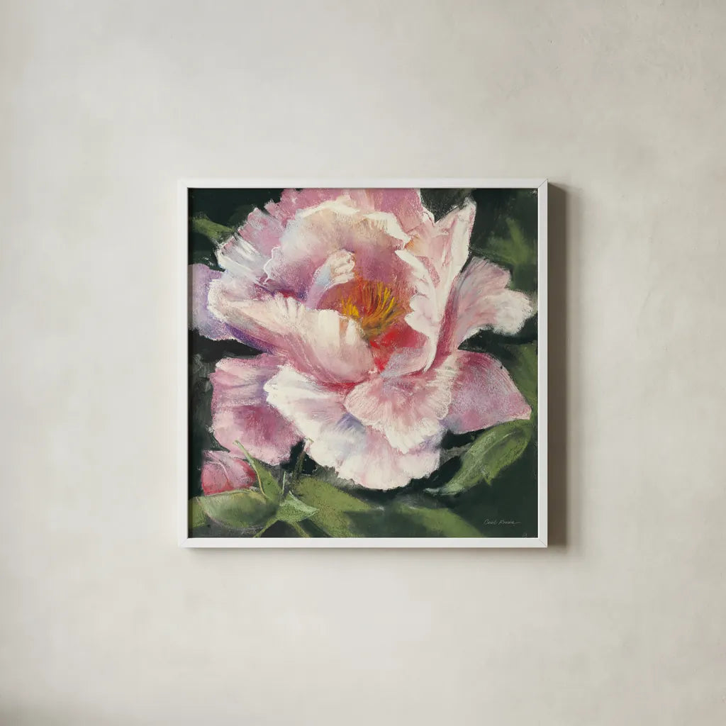Peony II by Carol Rowan. Shown in a crisp white glass frame for a clean and minimalist style. Available as an archival giclee rolled canvas, fine art paper, or poster print. SKU 41462a.
