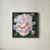 Peony III by Carol Rowan. Shown in a sleek black glass frame for a contemporary gallery look. Available as an archival giclee rolled canvas, fine art paper, or poster print. SKU 41463a.