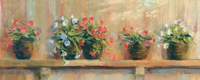 Petunias in Pots by Carol Rowan