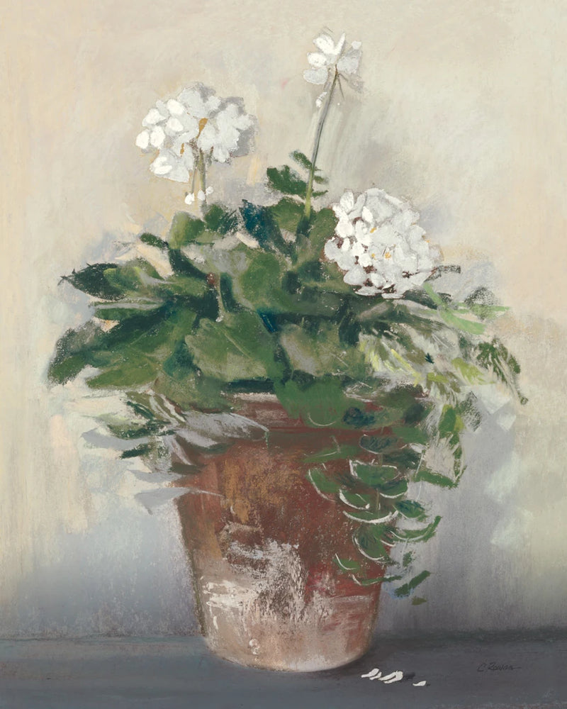 Pot of White Geraniums by Carol Rowan
