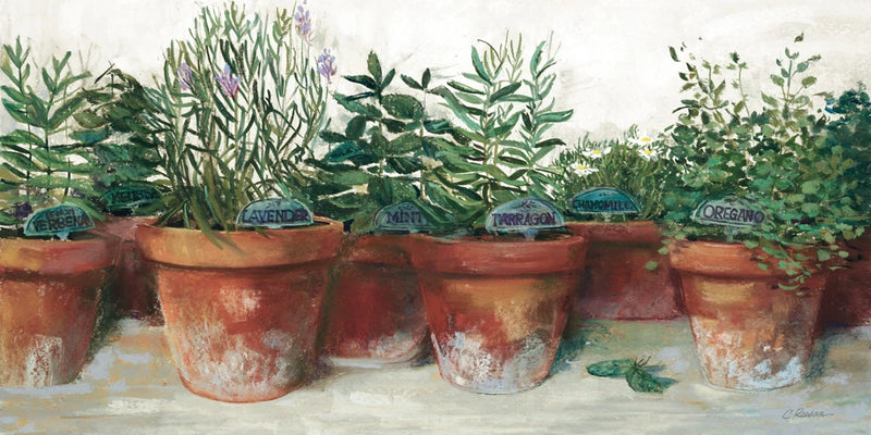 Pots of Herbs I White by Carol Rowan