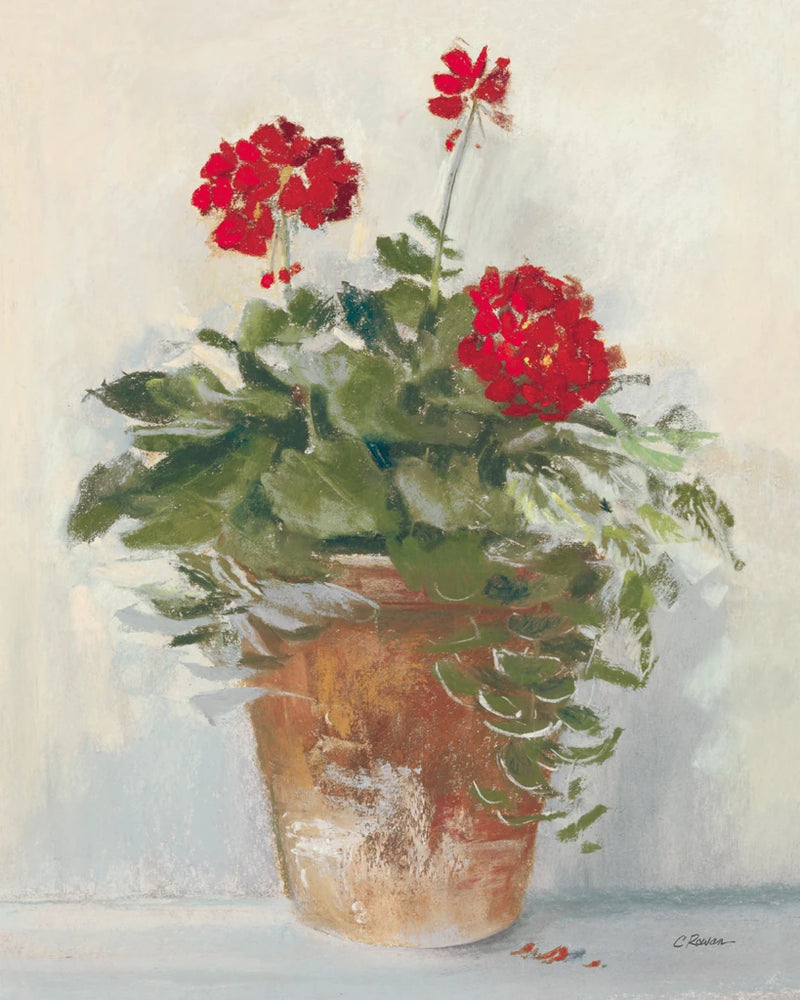 Potted Geraniums II Light by Carol Rowan