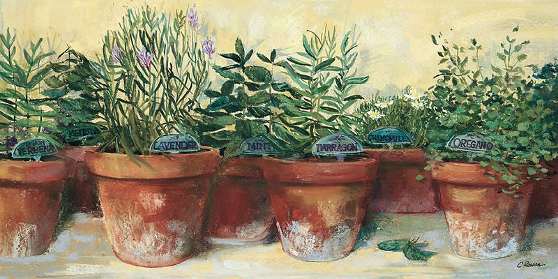 Potted Herbs I by Carol Rowan