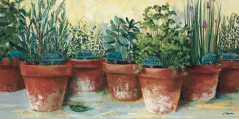 Potted Herbs II by Carol Rowan